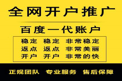 成功运用SEM服务实现品牌推广的案例分析